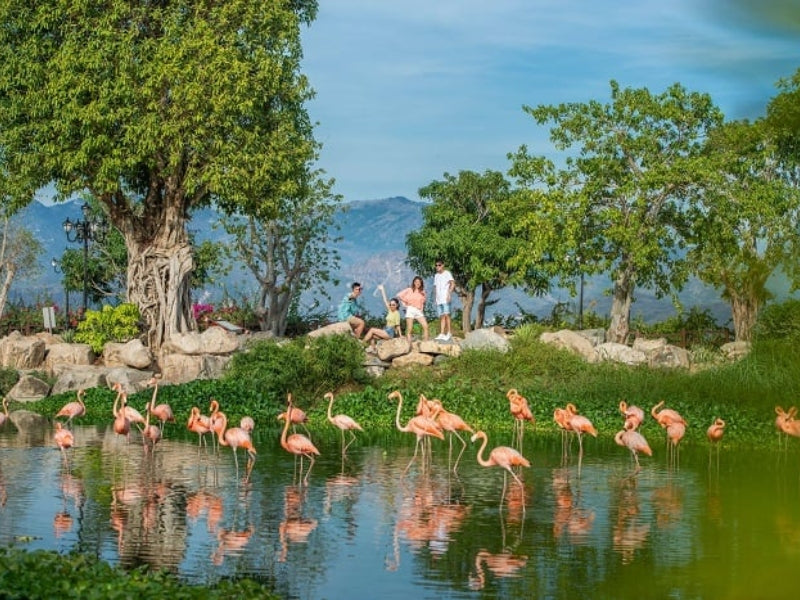 Tour Nha Trang 5 ngày 4 đêm