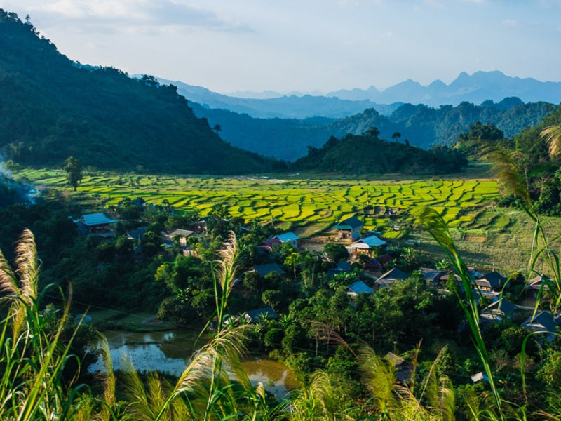 Tour Mai Châu 2 Ngày 1 Đêm từ Hà Nội