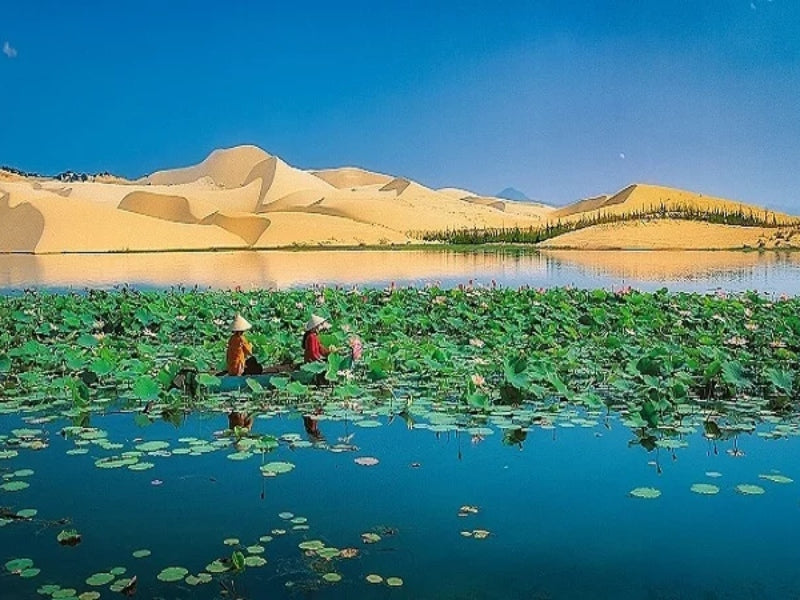 Tour Tết Nguyên Đán ở Bình Thuận