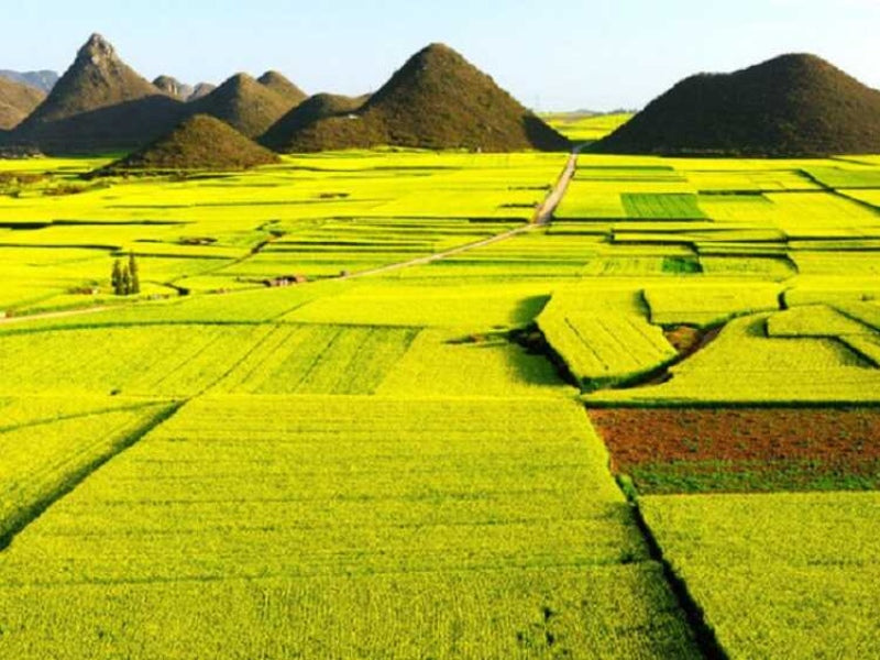 Tour Điện Biên 6 Ngày 5 Đêm từ TP.HCM
