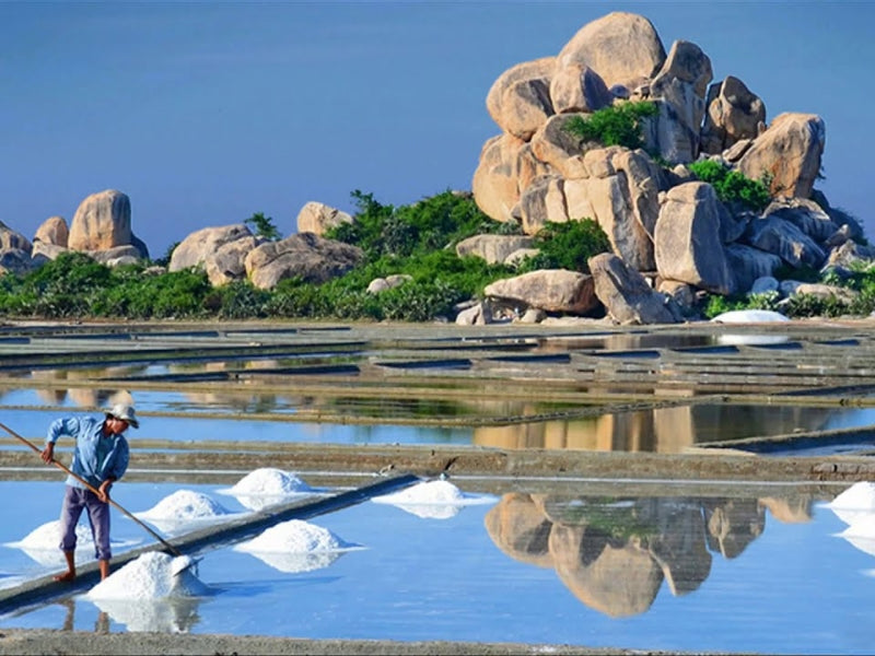 Tour Nam Định 2 ngày 1 đêm