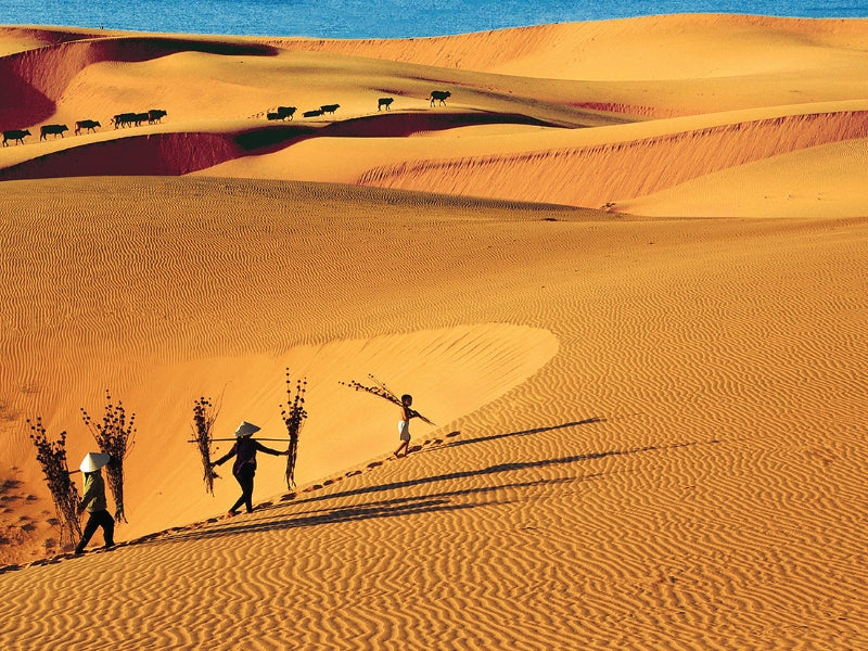Tour Phan Thiết 4 ngày 3 đêm