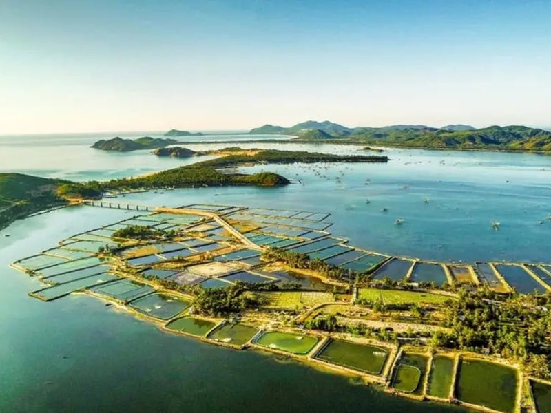 Tour Phú Yên 4 ngày 3 đêm từ TP.HCM