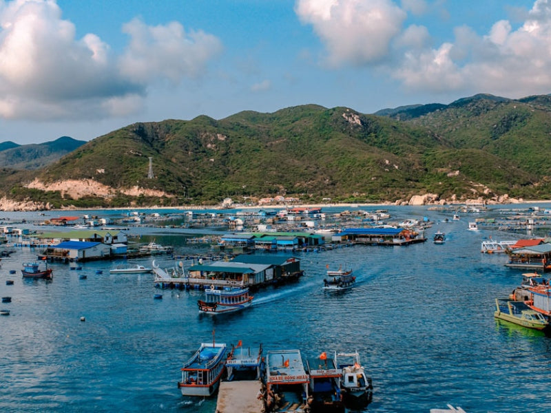 Tour Tết Dương Lịch ở Đảo Bình Hưng