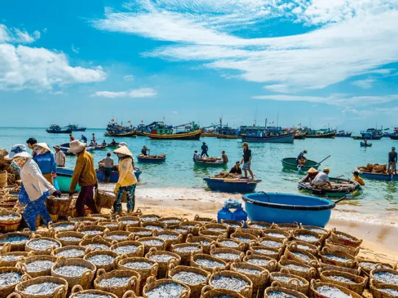 Tour Tết Dương Lịch ở Bình Thuận