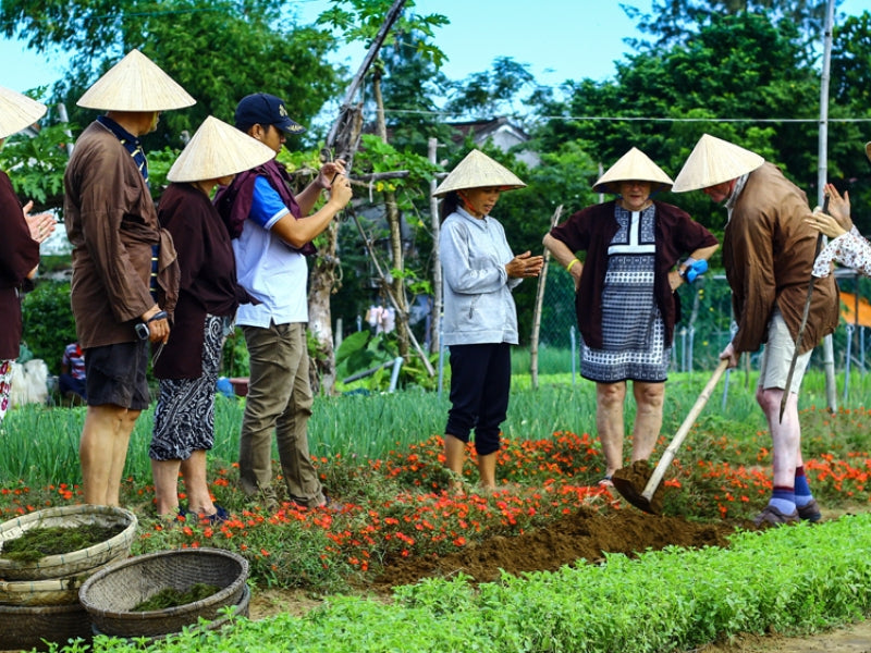 Tour Tết Nguyên Đán ở Hội An