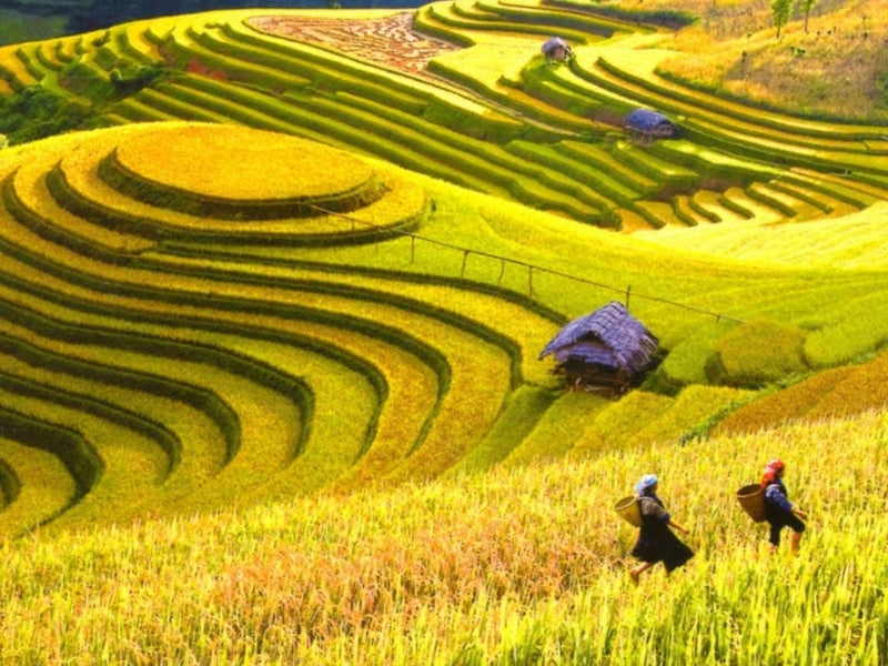 Tour Mai Châu 4 ngày 3 đêm