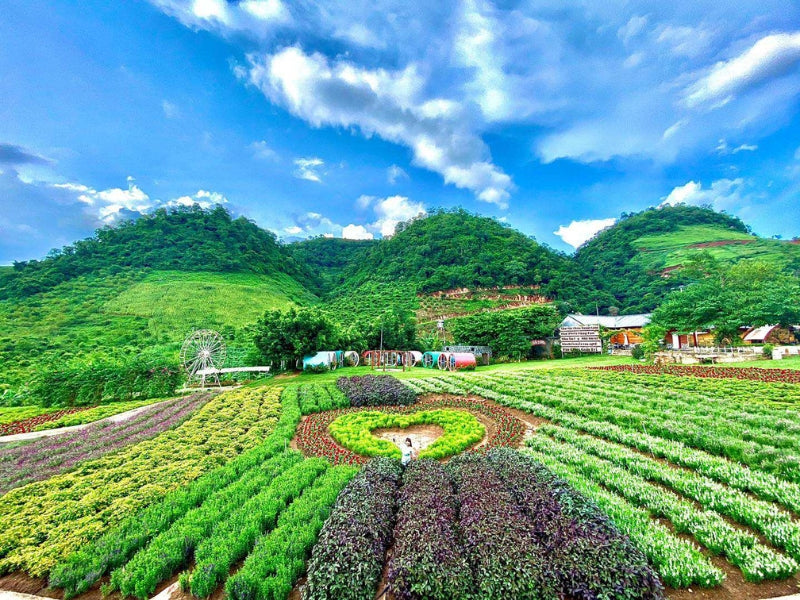 Tour Mộc Châu 6 ngày 5 đêm