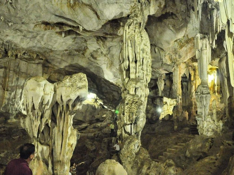 Tour Mộc Châu 2 ngày 1 đêm