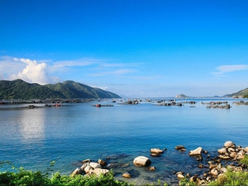 Tour Tết Nguyên Đán ở Phú Yên