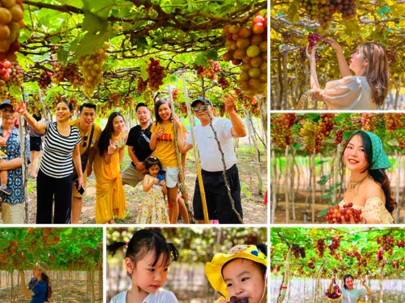 Tour Đảo Bình Hưng 2 ngày 1 đêm