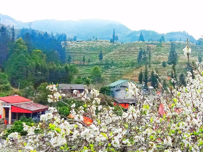 Tour nghỉ lễ 30/4 & 1/5 ở Lào Cai