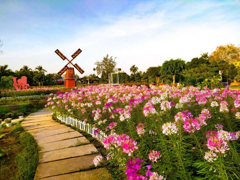 Tour Miền Tây 4 ngày 3 đêm từ Hà Nội
