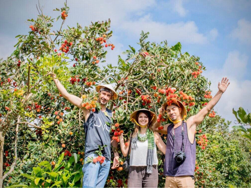 Tour Miền Tây 4 ngày 3 đêm