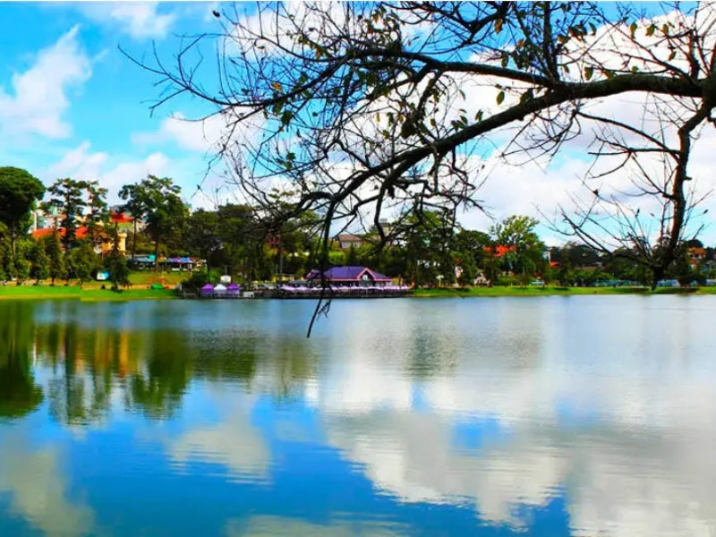 Tour Đà Lạt 3 ngày 2 đêm từ TP.HCM