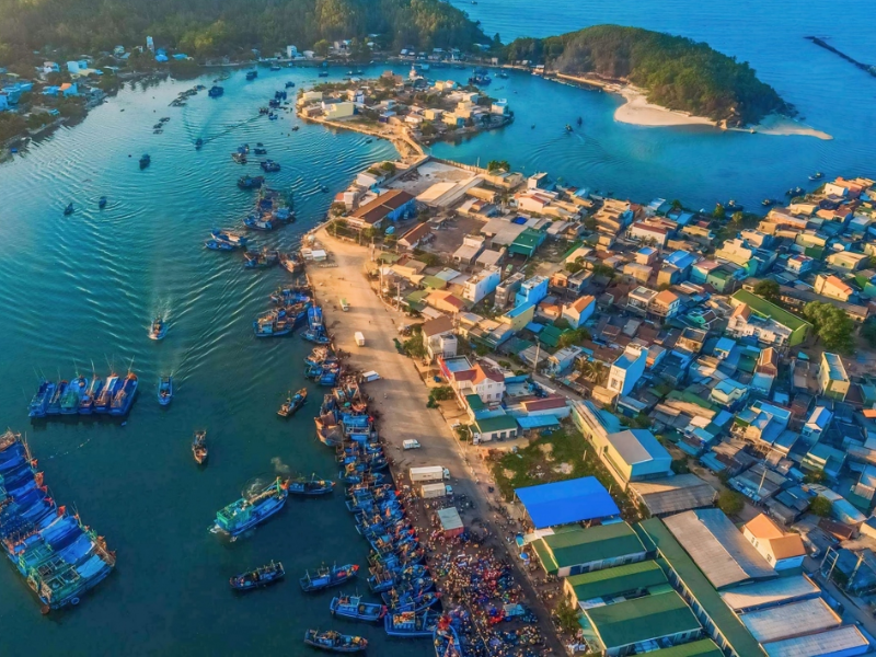 Tour Quảng Ngãi 3 ngày 2 đêm từ TP.HCM