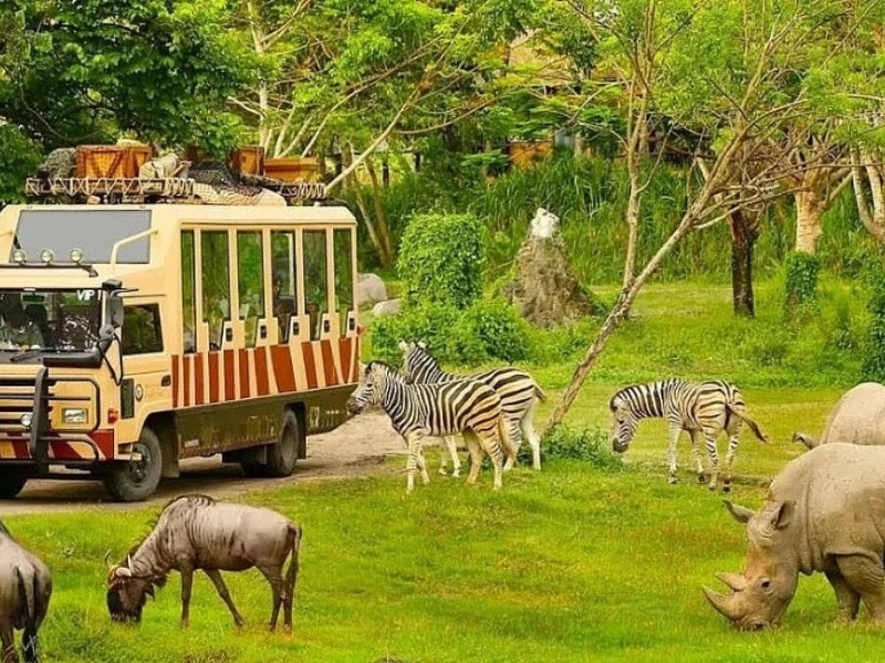 Tour Phú Quốc 4 ngày 3 đêm từ Hà Nội