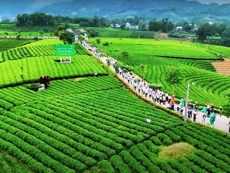 Tour Thái Nguyên 2 ngày 1 đêm từ Hà Nội