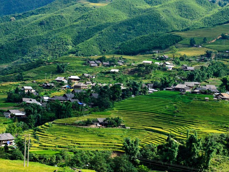 Tour Lào Cai 5 ngày 4 đêm từ Hà Nội