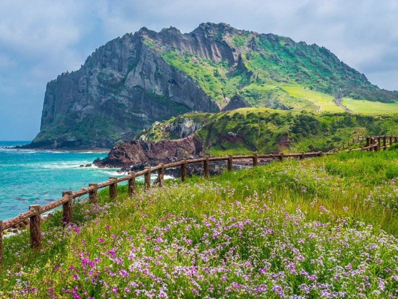 Tour Hàn Quốc 6 ngày 5 đêm
