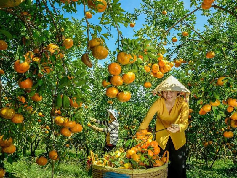 Tour nghỉ lễ 30/4 & 1/5 ở Miền Tây