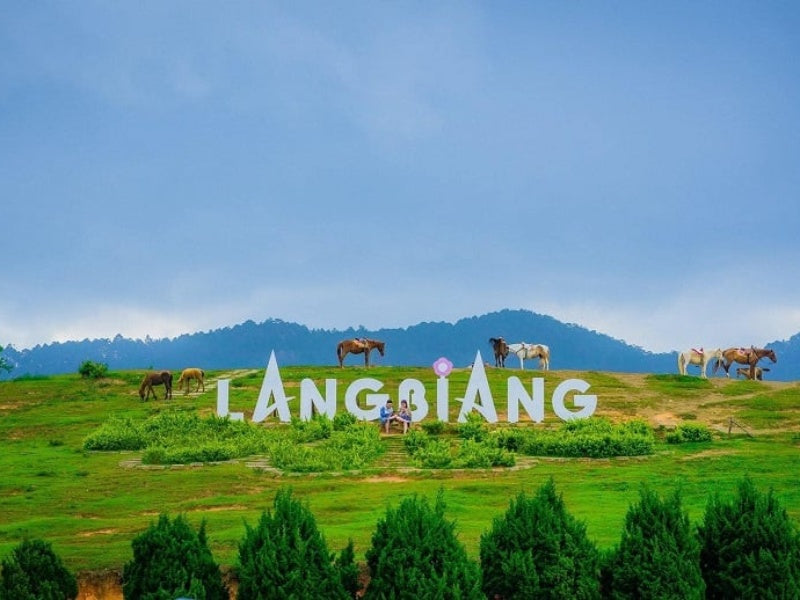 Tour Đà Lạt 5 ngày 4 đêm từ Hà Nội