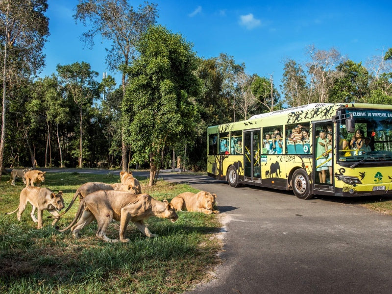Tour Phú Quốc 3 ngày 2 đêm