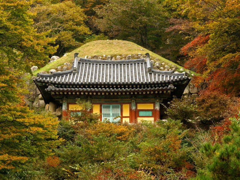 Tour nghỉ lễ 30/4 & 1/5 ở Hàn Quốc