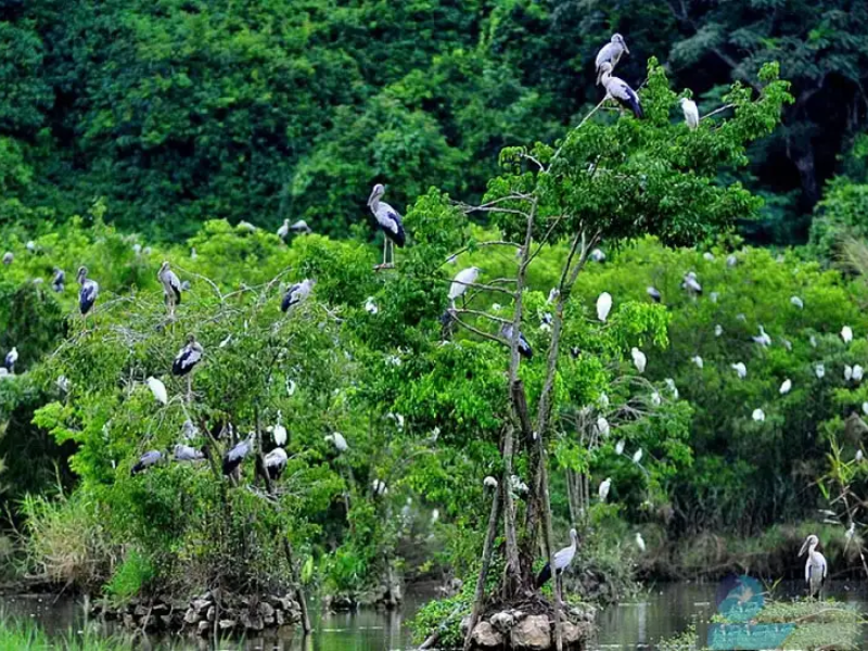 Tour Bạc Liêu 4 ngày 3 đêm từ Cần Thơ