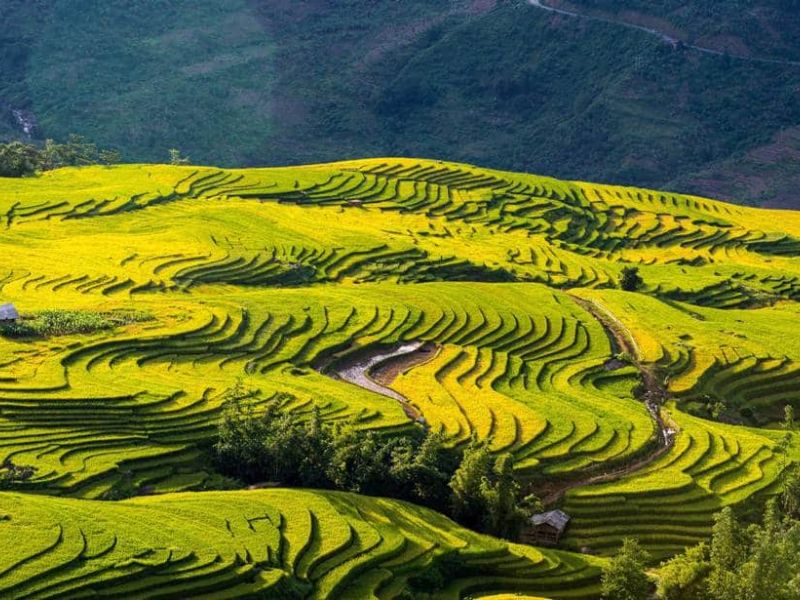 Tour Lào Cai 5 ngày 4 đêm từ TP.HCM