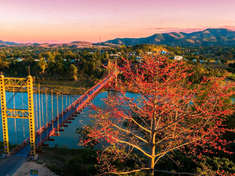 Tour Gia Lai 3 ngày 2 đêm từ Hà Nội