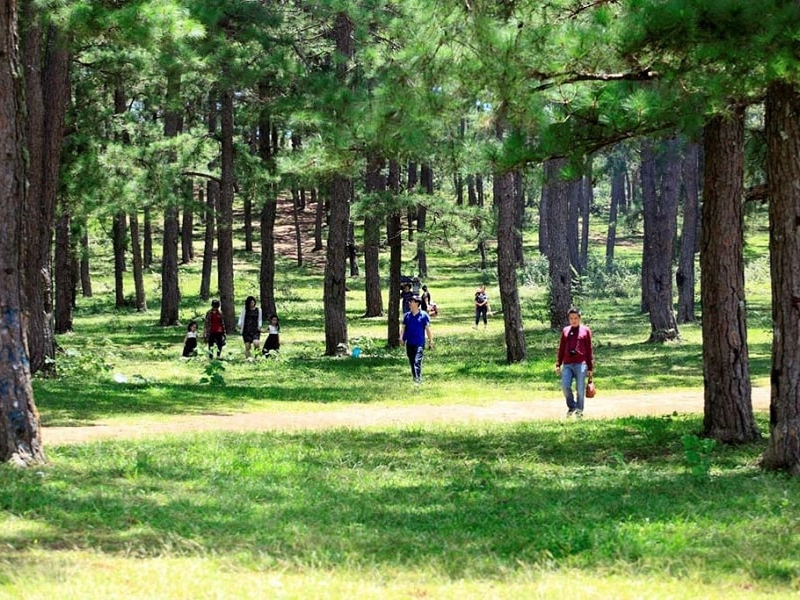 Tour Gia Lai 3 ngày 2 đêm từ TP.HCM