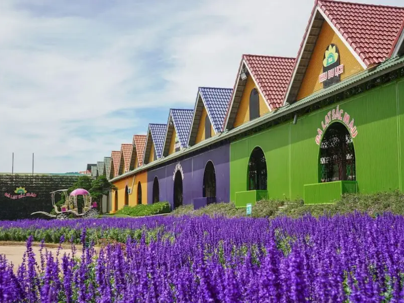 Tour nghỉ lễ 30/4 & 1/5 ở Lâm Đồng