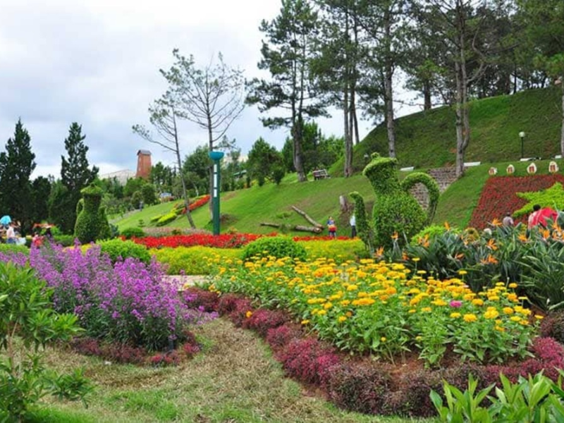 Tour Lâm Đồng 4 ngày 3 đêm từ Hà Nội