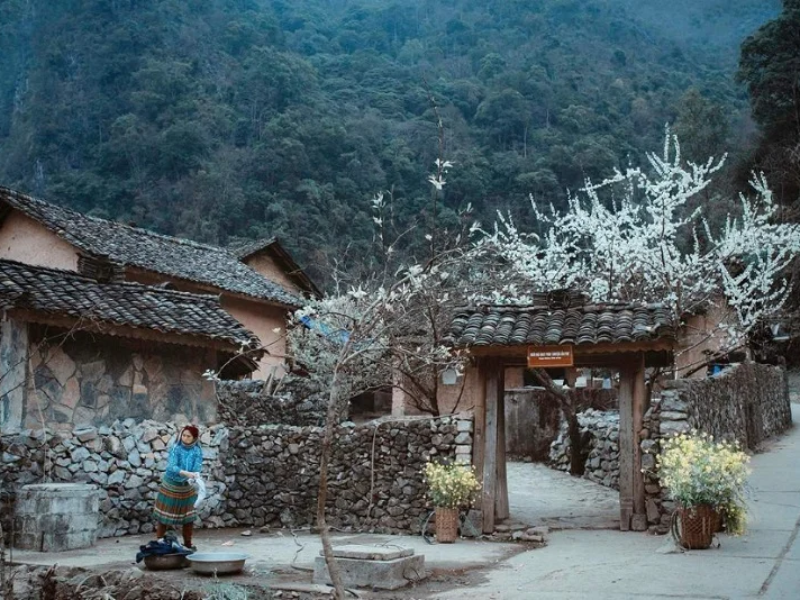 Tour Quảng Trị 1 Ngày