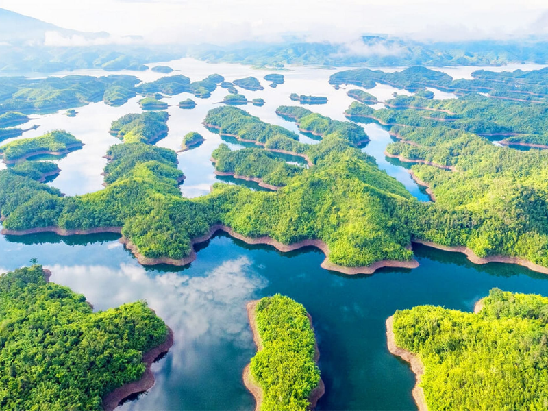 Tour Lâm Đồng 4 Ngày 3 Đêm Từ TP.HCM