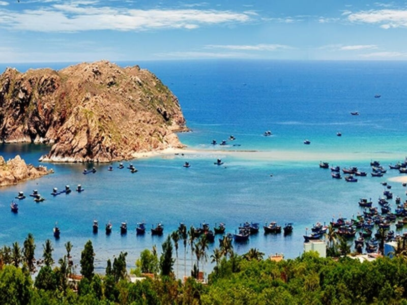 Tour Quy Nhơn 4 ngày 3 đêm từ TP.HCM
