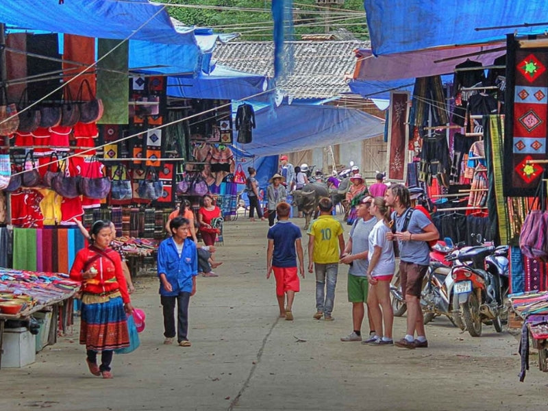 Tour Tết Nguyên Đán 2025 ở Mộc Châu