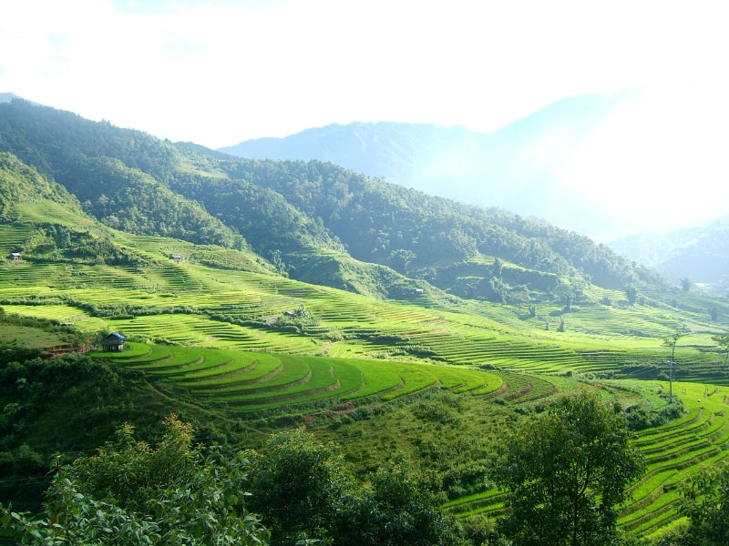 Tour Yên Bái 3 ngày 2 đêm