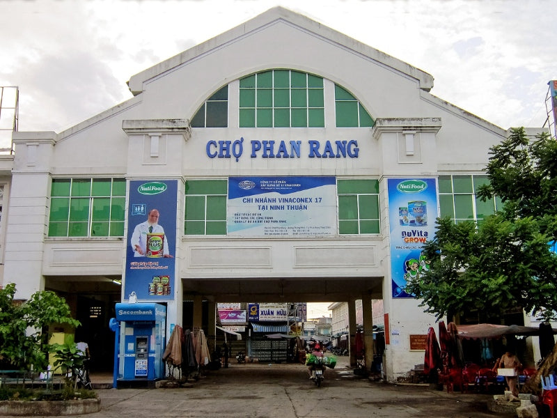 Tour Ninh Thuận 3 ngày 2 đêm từ Hà Nội