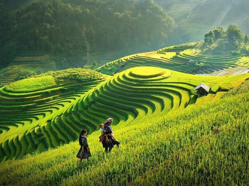 Tour Ninh Bình 6 ngày 5 đêm từ TP.HCM