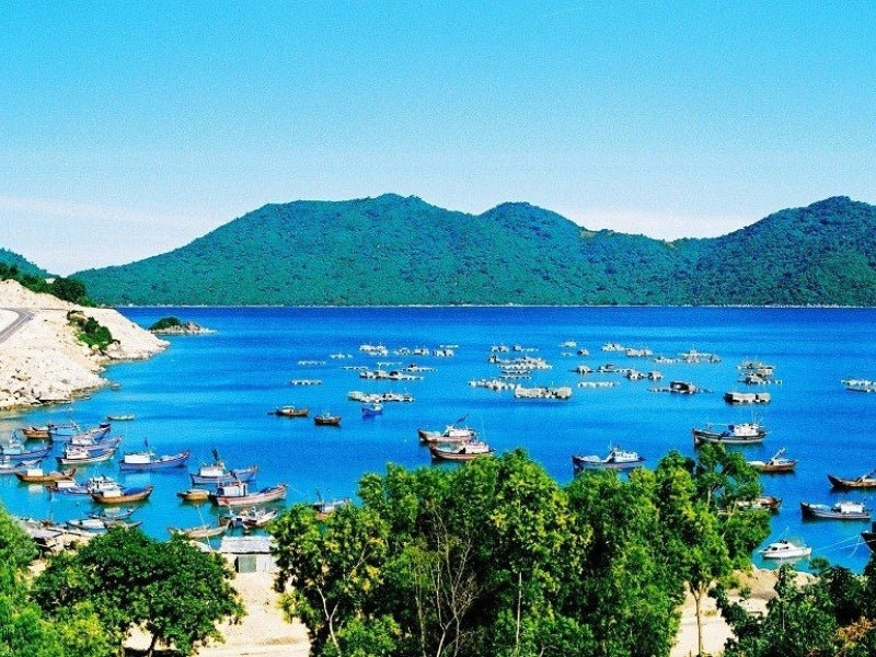 Tour Phú Yên 3 ngày 2 đêm từ Đà Nẵng