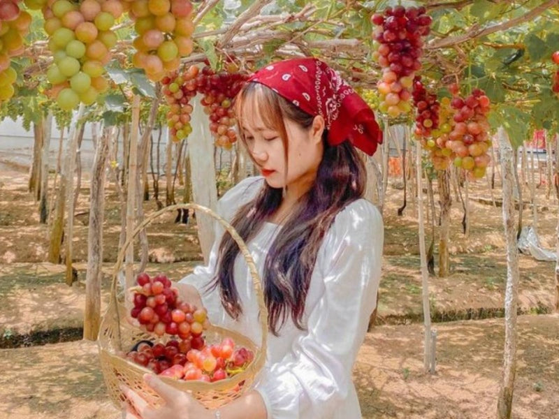 Tour Tết Nguyên Đán ở Đảo Bình Hưng