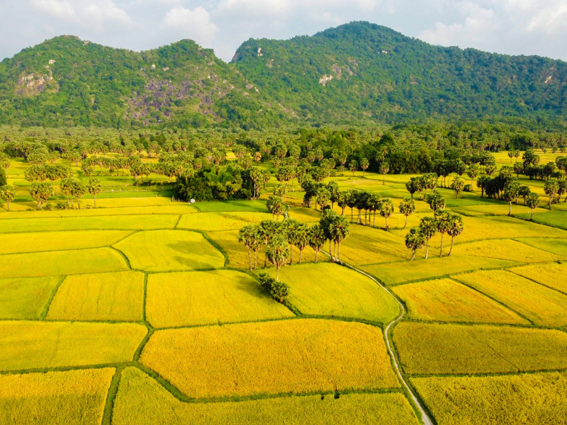 Tour An Giang 4 ngày 3 đêm từ TP.HCM