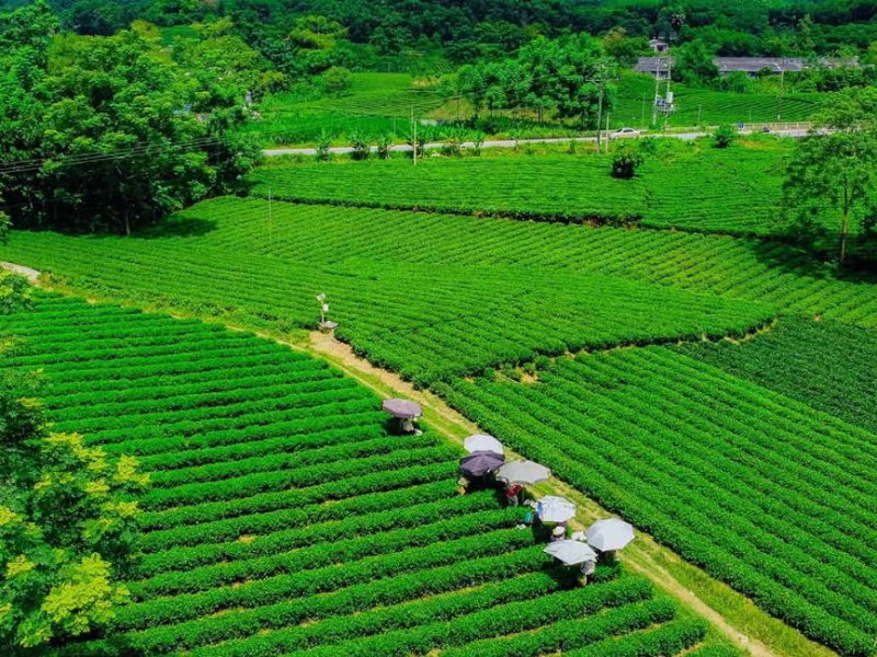Tour Thái Nguyên 2 ngày 1 đêm từ Hà Nội