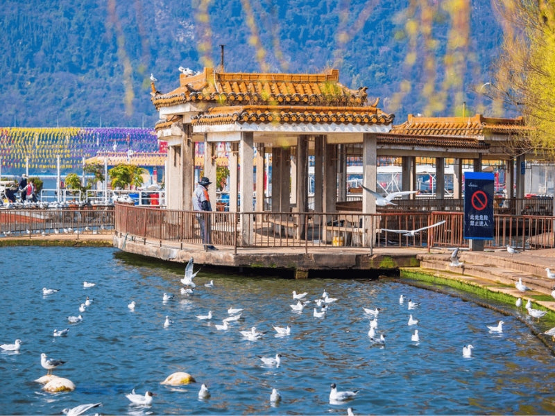 Tour Trung Quốc 6 ngày 5 đêm từ Đà Nẵng