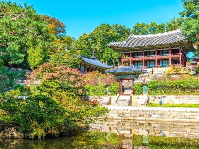 Tour Hàn Quốc 6 ngày 5 đêm từ Hà Nội