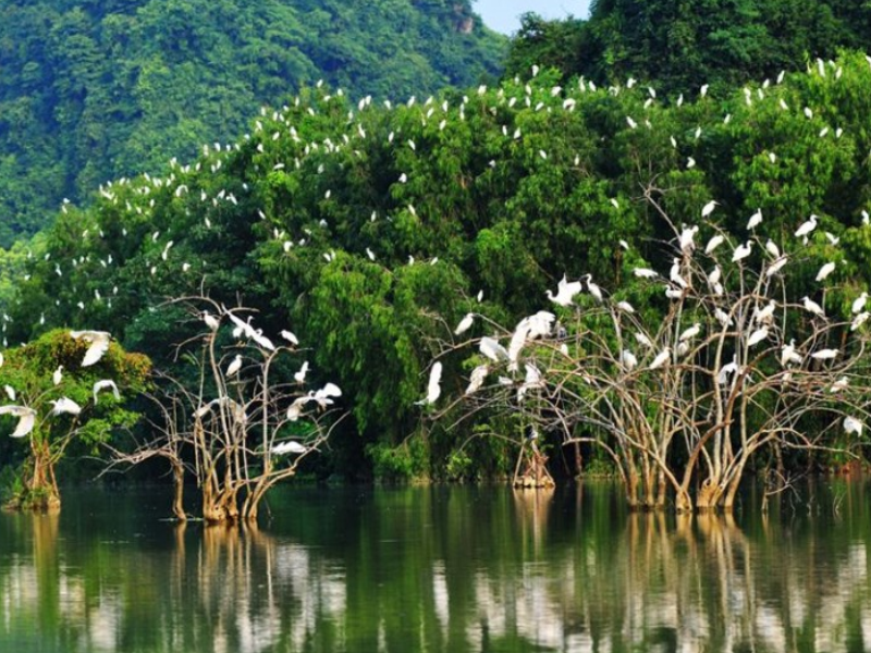 Tour Bến Tre 1 ngày từ Cần Thơ