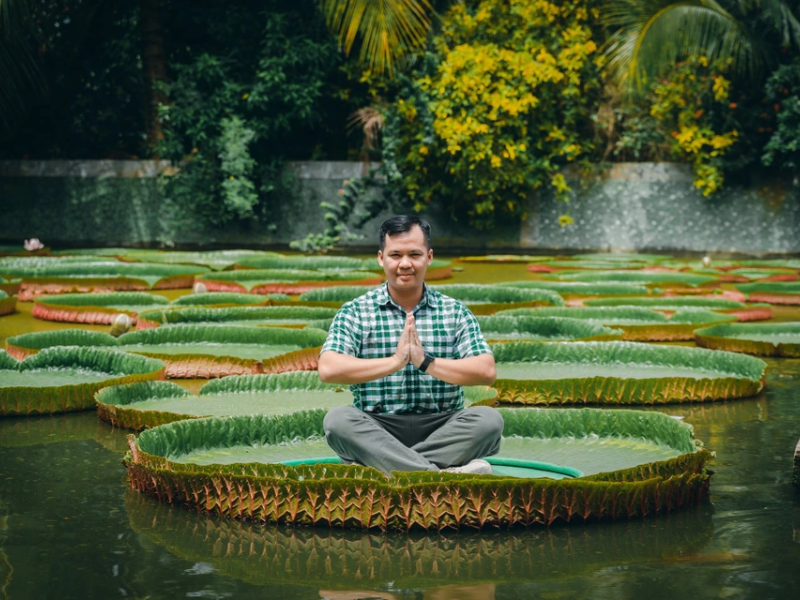 Tour Đồng Tháp 1 ngày