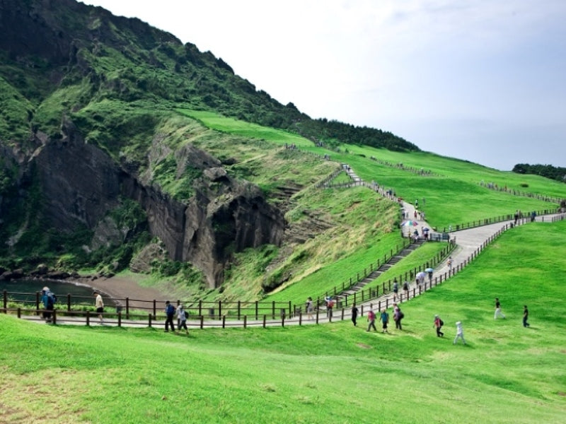 Tour nghỉ lễ 30/4 & 1/5 ở Hàn Quốc